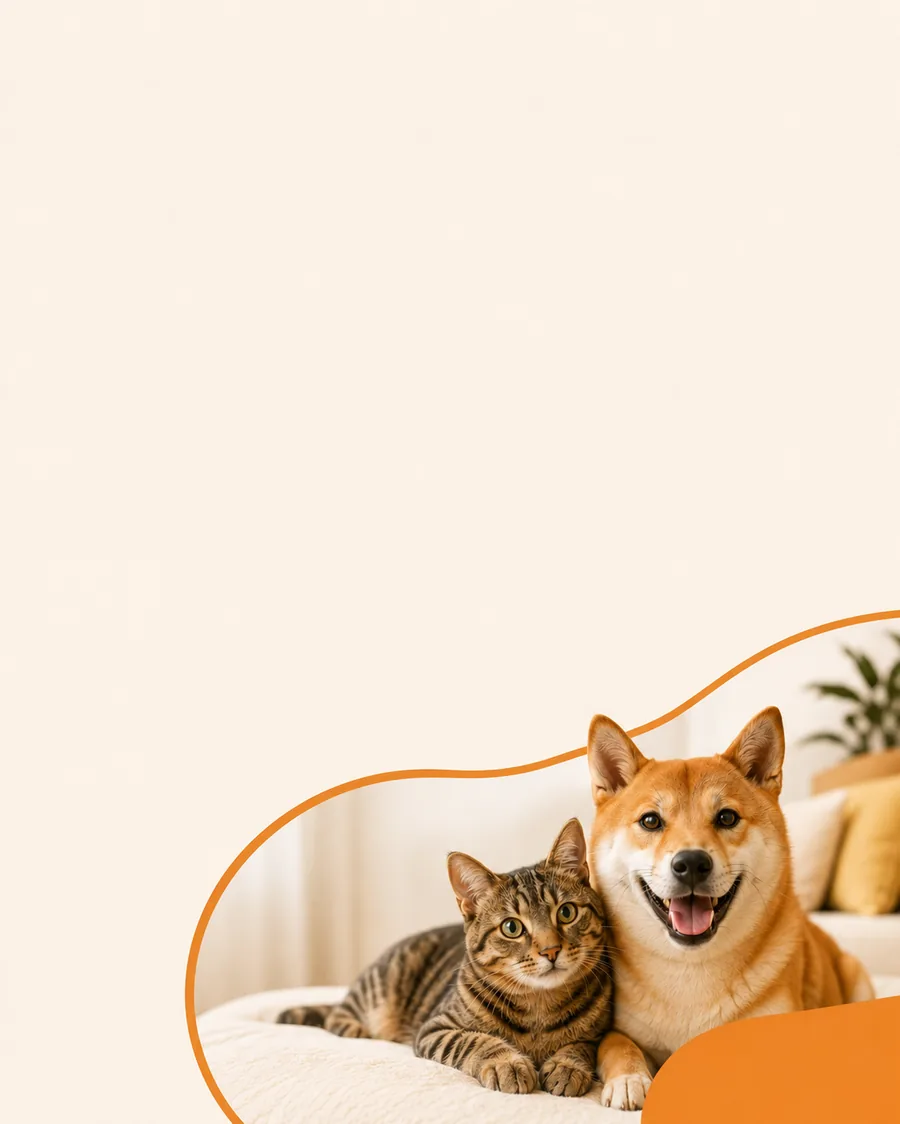 Illustration Canibuddy — Éducateur canin ou comportementaliste, quelle différence